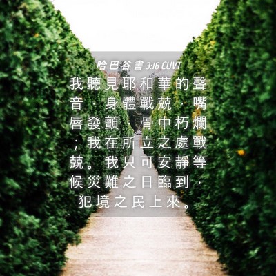Picture 04 - 哈 巴 谷 書 3:16 CUVT - 我 聽 見 耶 和 華 的 聲 音 ， 身 體 - Bible Verse Picture