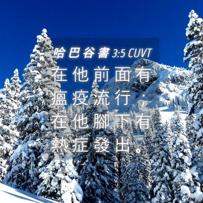 Picture 04 - 哈 巴 谷 書 3:5 CUVT - 在 他 前 面 有 瘟 疫 流 行 ； 在 他 - Bible Verse Picture