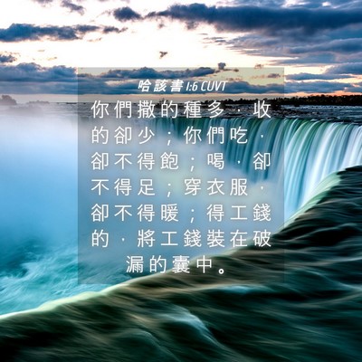 Picture 04 - 哈 該 書 1:6 CUVT - 你 們 撒 的 種 多 ， 收 的 卻 少 ； - Bible Verse Picture