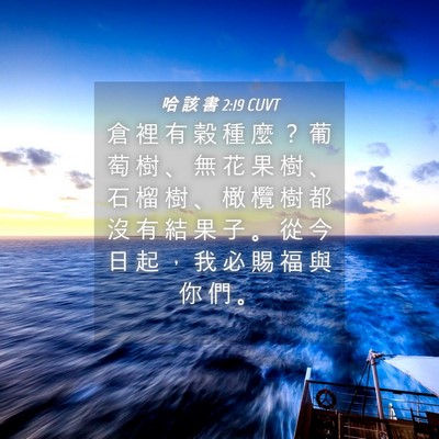 Picture 04 - 哈 該 書 2:19 CUVT - 倉 裡 有 穀 種 麼 ？ 葡 萄 樹 、 無 - Bible Verse Picture