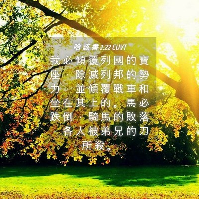 Picture 04 - 哈 該 書 2:22 CUVT - 我 必 傾 覆 列 國 的 寶 座 ， 除 滅 - Bible Verse Picture
