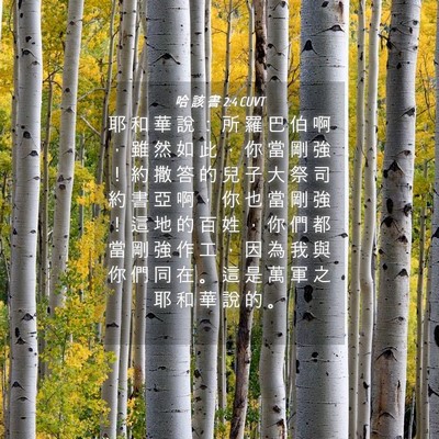 Picture 04 - 哈 該 書 2:4 CUVT - 耶 和 華 說 ： 所 羅 巴 伯 啊 ， 雖 - Bible Verse Picture
