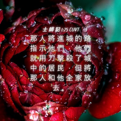 Picture 04 - 士 師 記 1:25 CUVT - 那 人 將 進 城 的 路 指 示 他 們 ， - Bible Verse Picture