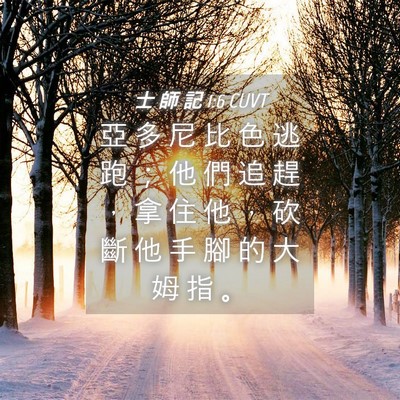 Picture 04 - 士 師 記 1:6 CUVT - 亞 多 尼 比 色 逃 跑 ； 他 們 追 趕 - Bible Verse Picture