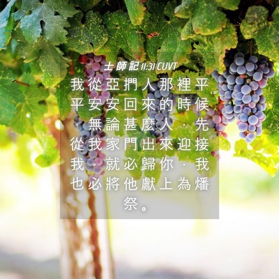 Picture 04 - 士 師 記 11:31 CUVT - 我 從 亞 捫 人 那 裡 平 平 安 安 回 - Bible Verse Picture