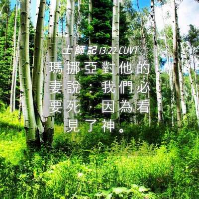 Picture 04 - 士 師 記 13:22 CUVT - 瑪 挪 亞 對 他 的 妻 說 ： 我 們 必 - Bible Verse Picture