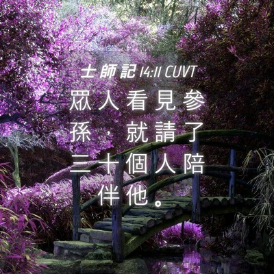 Picture 04 - 士 師 記 14:11 CUVT - 眾 人 看 見 參 孫 ， 就 請 了 三 十 - Bible Verse Picture