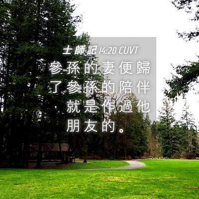 Picture 04 - 士 師 記 14:20 CUVT - 參 孫 的 妻 便 歸 了 參 孫 的 陪 伴 - Bible Verse Picture