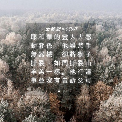 Picture 04 - 士 師 記 14:6 CUVT - 耶 和 華 的 靈 大 大 感 動 參 孫 ， - Bible Verse Picture