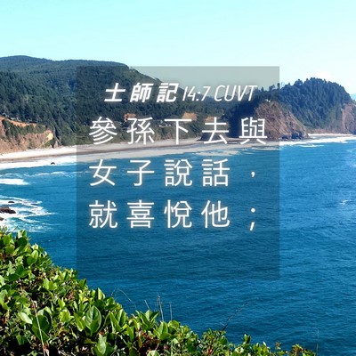 Picture 04 - 士 師 記 14:7 CUVT - 參 孫 下 去 與 女 子 說 話 ， 就 喜 - Bible Verse Picture
