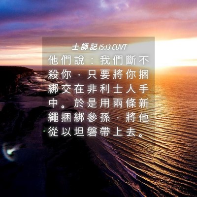 Picture 04 - 士 師 記 15:13 CUVT - 他 們 說 ： 我 們 斷 不 殺 你 ， 只 - Bible Verse Picture