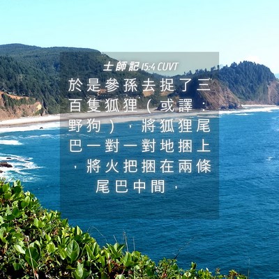 Picture 04 - 士 師 記 15:4 CUVT - 於 是 參 孫 去 捉 了 三 百 隻 狐 狸 - Bible Verse Picture
