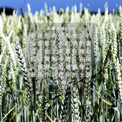 Picture 04 - 士 師 記 16:31 CUVT - 參 孫 的 弟 兄 和 他 父 的 全 家 都 - Bible Verse Picture