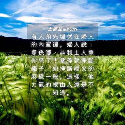 Picture 04 - 士 師 記 16:9 CUVT - 有 人 預 先 埋 伏 在 婦 人 的 內 室 - Bible Verse Picture