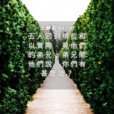 Picture 04 - 士 師 記 18:8 CUVT - 五 人 回 到 瑣 拉 和 以 實 陶 ， 見 - Bible Verse Picture