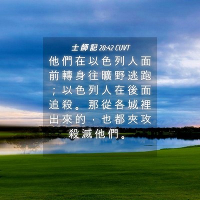 Picture 04 - 士 師 記 20:42 CUVT - 他 們 在 以 色 列 人 面 前 轉 身 往 - Bible Verse Picture