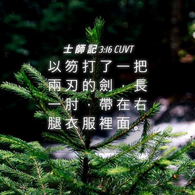 Picture 04 - 士 師 記 3:16 CUVT - 以 笏 打 了 一 把 兩 刃 的 劍 ， 長 - Bible Verse Picture