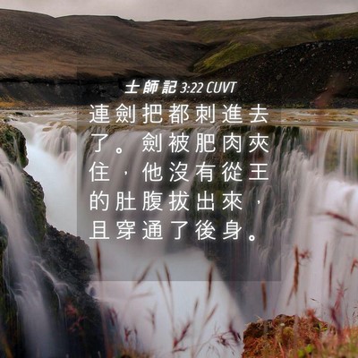 Picture 04 - 士 師 記 3:22 CUVT - 連 劍 把 都 刺 進 去 了 。 劍 被 肥 - Bible Verse Picture