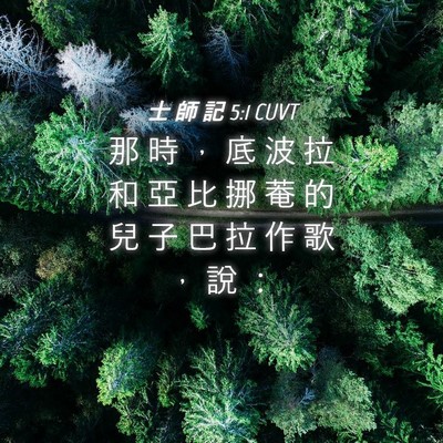 Picture 04 - 士 師 記 5:1 CUVT - 那 時 ， 底 波 拉 和 亞 比 挪 菴 的 - Bible Verse Picture