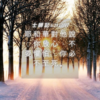 Picture 04 - 士 師 記 6:23 CUVT - 耶 和 華 對 他 說 ： 你 放 心 ， 不 - Bible Verse Picture