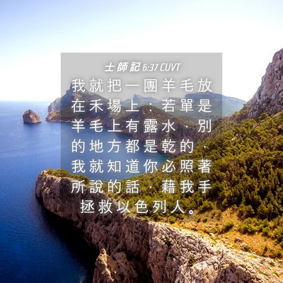 Picture 04 - 士 師 記 6:37 CUVT - 我 就 把 一 團 羊 毛 放 在 禾 場 上 - Bible Verse Picture