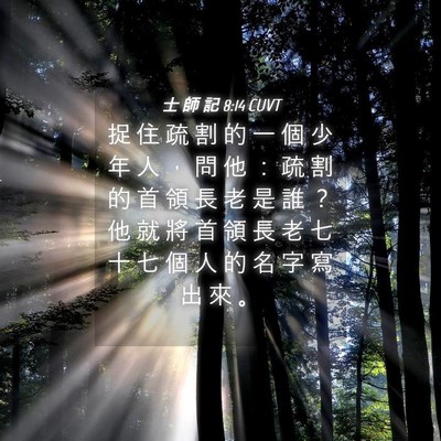 Picture 04 - 士 師 記 8:14 CUVT - 捉 住 疏 割 的 一 個 少 年 人 ， 問 - Bible Verse Picture
