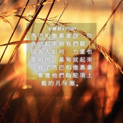 Picture 04 - 士 師 記 8:21 CUVT - 西 巴 和 撒 慕 拿 說 ： 你 自 己 起 - Bible Verse Picture