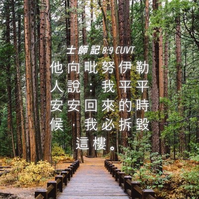 Picture 04 - 士 師 記 8:9 CUVT - 他 向 毗 努 伊 勒 人 說 ： 我 平 平 - Bible Verse Picture