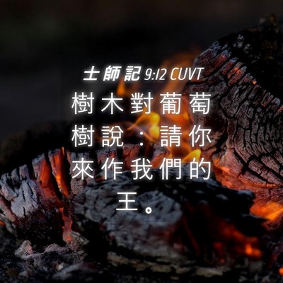Picture 04 - 士 師 記 9:12 CUVT - 樹 木 對 葡 萄 樹 說 ： 請 你 來 作 - Bible Verse Picture