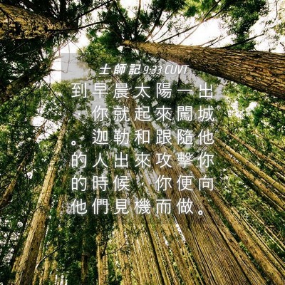 Picture 04 - 士 師 記 9:33 CUVT - 到 早 晨 太 陽 一 出 ， 你 就 起 來 - Bible Verse Picture