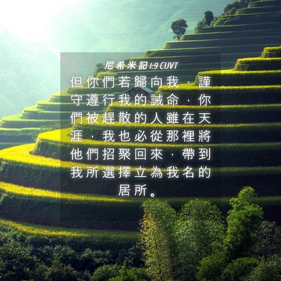 Picture 04 - 尼 希 米 記 1:9 CUVT - 但 你 們 若 歸 向 我 ， 謹 守 遵 行 - Bible Verse Picture