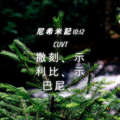 Picture 04 - 尼 希 米 記 10:12 CUVT - 撒 刻 、 示 利 比 、 示 巴 尼 - Bible Verse Picture