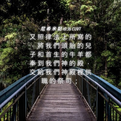 Picture 04 - 尼 希 米 記 10:36 CUVT - 又 照 律 法 上 所 寫 的 ， 將 我 們 - Bible Verse Picture