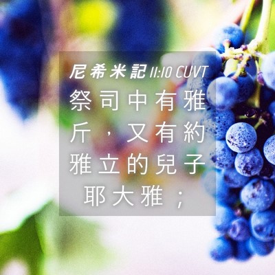 Picture 04 - 尼 希 米 記 11:10 CUVT - 祭 司 中 有 雅 斤 ， 又 有 約 雅 立 - Bible Verse Picture