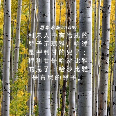 Picture 04 - 尼 希 米 記 11:15 CUVT - 利 未 人 中 有 哈 述 的 兒 子 示 瑪 - Bible Verse Picture