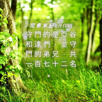 Picture 04 - 尼 希 米 記 11:19 CUVT - 守 門 的 是 亞 谷 和 達 們 ， 並 守 - Bible Verse Picture