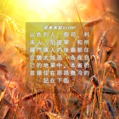 Picture 04 - 尼 希 米 記 11:3 CUVT - 以 色 列 人 、 祭 司 、 利 未 人 、 - Bible Verse Picture