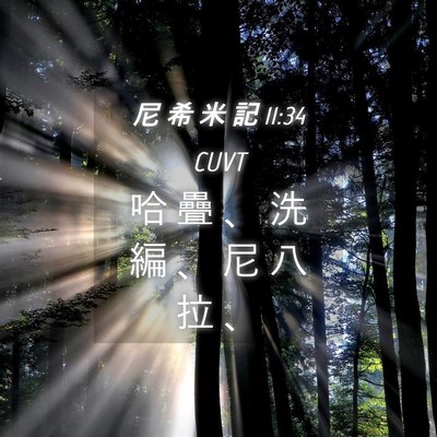 Picture 04 - 尼 希 米 記 11:34 CUVT - 哈 疊 、 洗 編 、 尼 八 拉 - Bible Verse Picture