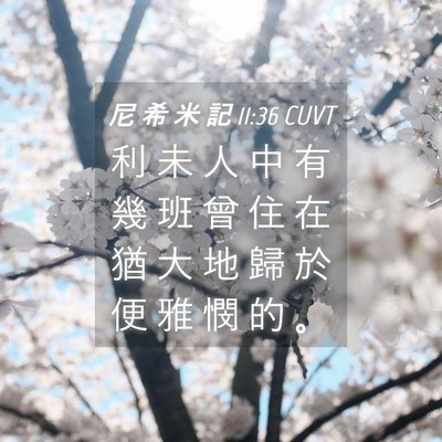 Picture 04 - 尼 希 米 記 11:36 CUVT - 利 未 人 中 有 幾 班 曾 住 在 猶 大 - Bible Verse Picture