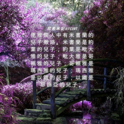 Picture 04 - 尼 希 米 記 11:7 CUVT - 便 雅 憫 人 中 有 米 書 蘭 的 兒 子 - Bible Verse Picture