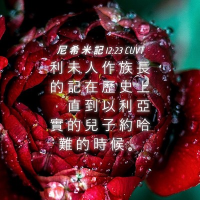 Picture 04 - 尼 希 米 記 12:23 CUVT - 利 未 人 作 族 長 的 記 在 歷 史 上 - Bible Verse Picture