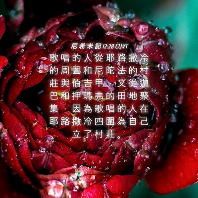 Picture 04 - 尼 希 米 記 12:28 CUVT - 歌 唱 的 人 從 耶 路 撒 冷 的 周 圍 - Bible Verse Picture
