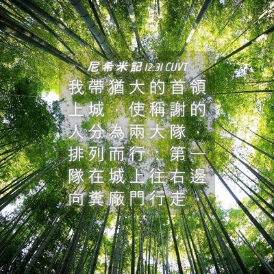 Picture 04 - 尼 希 米 記 12:31 CUVT - 我 帶 猶 大 的 首 領 上 城 ， 使 稱 - Bible Verse Picture