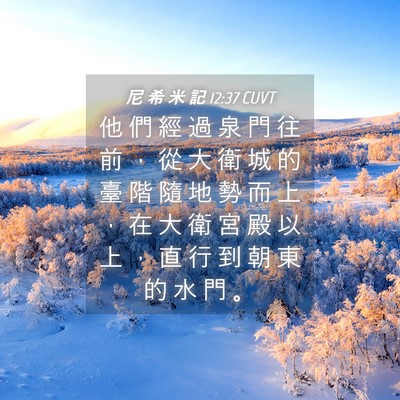 Picture 04 - 尼 希 米 記 12:37 CUVT - 他 們 經 過 泉 門 往 前 ， 從 大 衛 - Bible Verse Picture