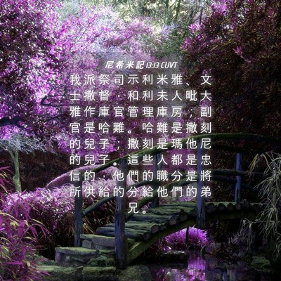 Picture 04 - 尼 希 米 記 13:13 CUVT - 我 派 祭 司 示 利 米 雅 、 文 士 撒 - Bible Verse Picture