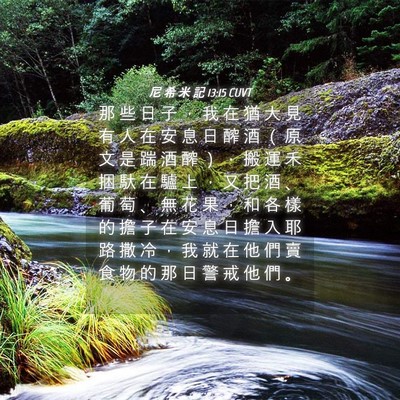 Picture 04 - 尼 希 米 記 13:15 CUVT - 那 些 日 子 ， 我 在 猶 大 見 有 人 - Bible Verse Picture