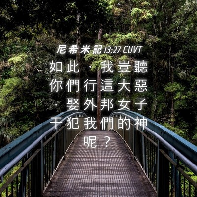 Picture 04 - 尼 希 米 記 13:27 CUVT - 如 此 ， 我 豈 聽 你 們 行 這 大 惡 - Bible Verse Picture