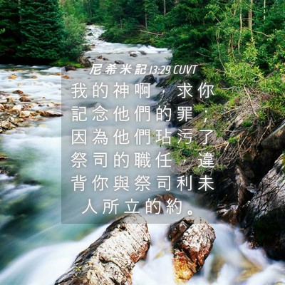 Picture 04 - 尼 希 米 記 13:29 CUVT - 我 的 神 啊 ， 求 你 記 念 他 們 的 - Bible Verse Picture