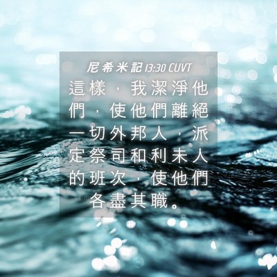 Picture 04 - 尼 希 米 記 13:30 CUVT - 這 樣 ， 我 潔 淨 他 們 ， 使 他 們 - Bible Verse Picture