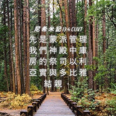 Picture 04 - 尼 希 米 記 13:4 CUVT - 先 是 蒙 派 管 理 我 們 神 殿 中 庫 - Bible Verse Picture